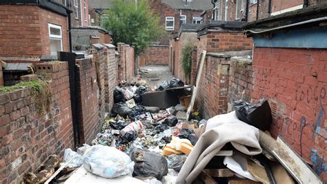 Inside Britains Fly Tipping Epidemic As Rat Population Soars By