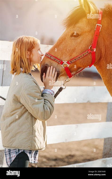 Girl touching horse face hi-res stock photography and images - Alamy