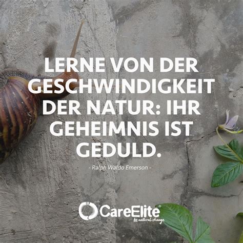 Natur Zitate Spr Che Ber Nat Rlichkeit Mutter Natur Und Unsere