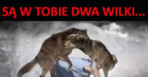 Są w tobie dwa wilki