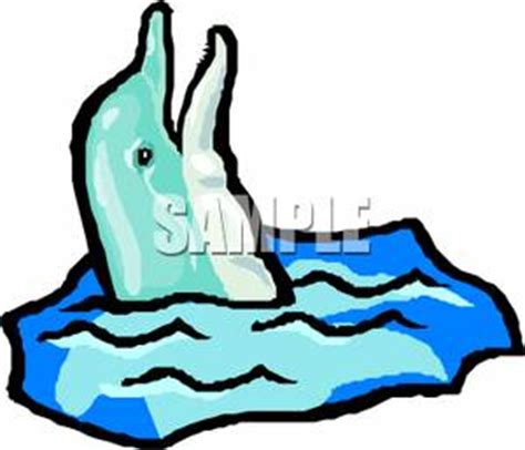Emerge clipart 20 free Cliparts | Download images on Clipground 2024