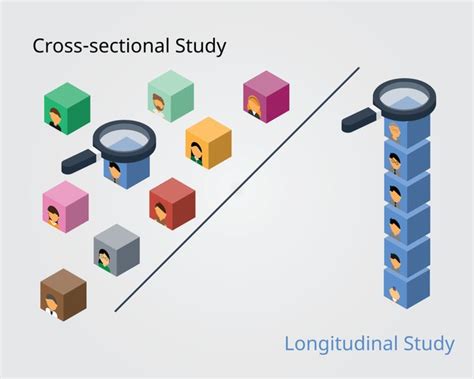 Cross Sectional Study Over 813 Royalty Free Licensable Stock Vectors