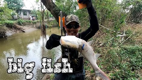 Silver Carp Karpa Huli Sa Tiksay Airgun Fishing Youtube