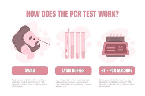 Como O Teste De Pcr Funciona Vetor Grátis