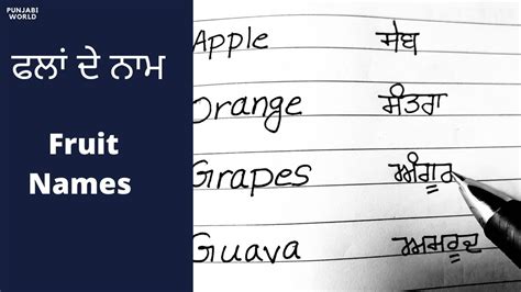 Fruits Names In Punjabi ਫਲਾਂ ਦੇ ਨਾਮ Learn Fruit Names In Punjabi