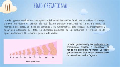 Edas Gestacional Prematurez Y Post Madurez Equipo Pptx