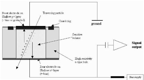 Simplified Principle Of A Silicon Particle Detector Download