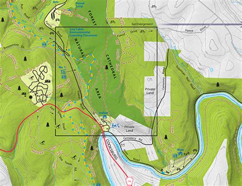 Cook Forest Conservancy Cook Forest State Park Maps