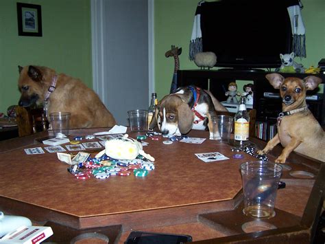 Dogs playing poker...so cliche