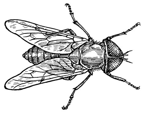 To Read The Gadfly Symposium