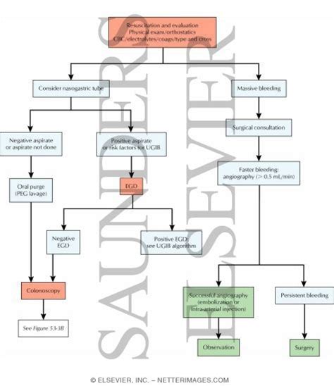 Acute Lower Gastrointestinal Bleeding