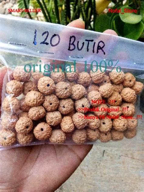 Jenitri Rudraksha Bahan Gelangkalungtasbih Biji Halus Warna Bagus