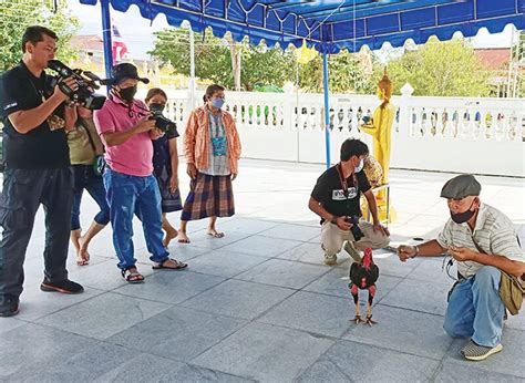 ฮือฮา เจ้าเฮงเฮง ไก่ชนแสนเชื่อง ในระหว่างพิธีพุทธาภิเษกวัตถุมงคลหลวงพ่อเถ่ง ฐิตคุโณ