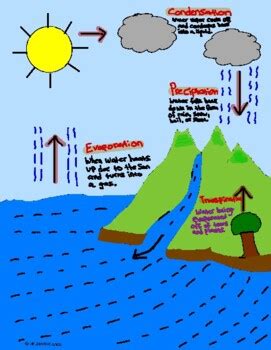 Water Cycle Handwritten Doodle Notes Questions By Mr D And Science