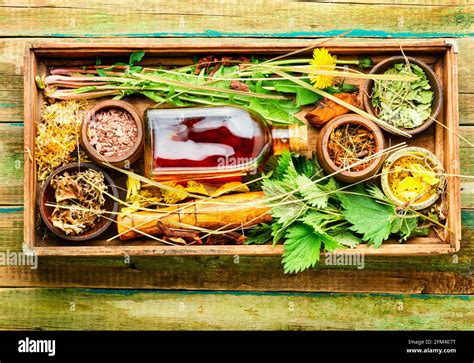 Plantas Medicinales En Caja De Madera Fotografías E Imágenes De Alta Resolución Alamy