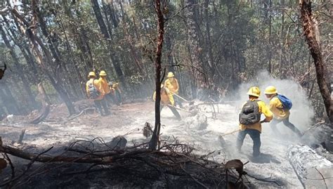 Incendios Forestales En M Xico En Lo Que Va Del Se Han Consumido