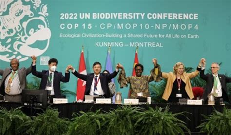 Adoptan En Montreal Nueva Agenda De Cooperaci N Global En Biodiversidad