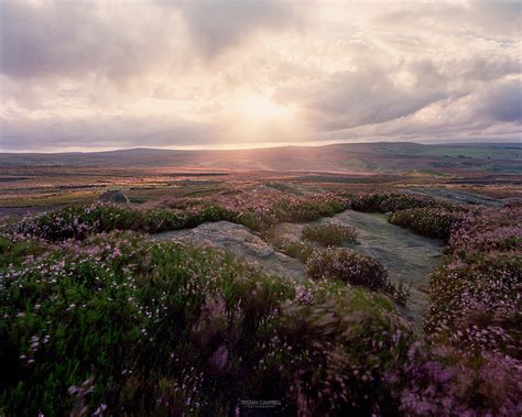 Moorland Definition What Is