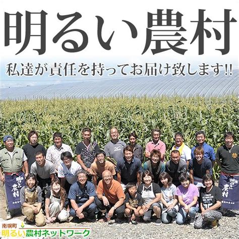 【予約】とうもろこし あまいんです 6本 冷蔵便 北海道産 朝採り トウモロコシ とうきび 南幌町明るい農村ネットワーク ギフト 送料無料