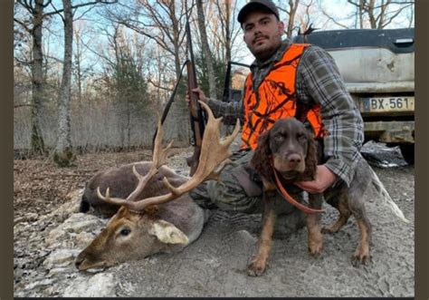 Les Journées Saint Hubert Grand Gibier Parc de 200 hectares Une