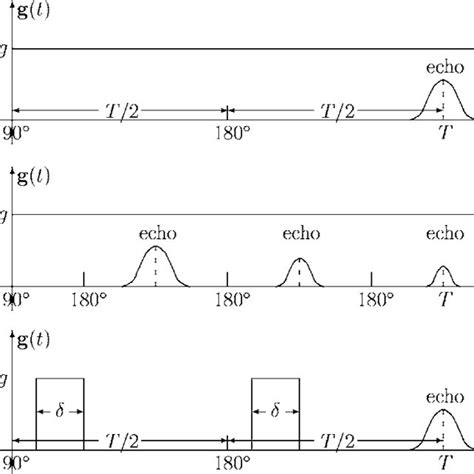 Schematic illustration of echo formation. In a static field B 0 along ...