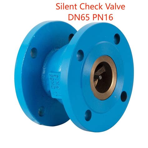 Flange End DN65 ANSI Standard Pn16 Wcb Carbon Steel Ductile Iron Silent