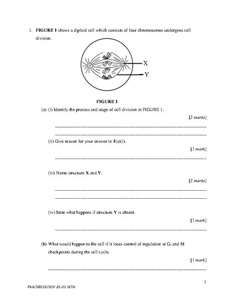 KMJ Q PRE PSPM I SET A Exercise 1 FIGURE 1 Shows A Diploid Cell