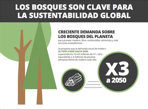 Los bosques son fundamentales para la sostenibilidad global Versión en