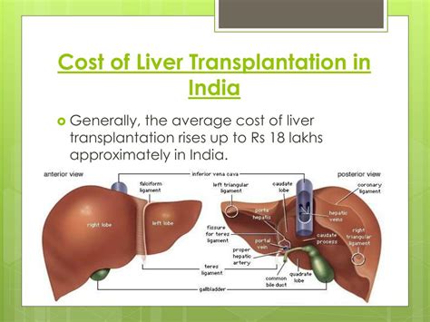 Ppt Liver Transplant In India Powerpoint Presentation Free Download Id7483708