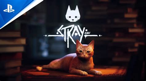 Stray – gry PS4 i PS5 | PlayStation (Polska)