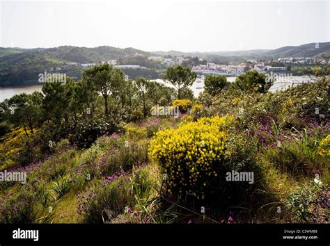 Looking Guadiana River Hi Res Stock Photography And Images Alamy