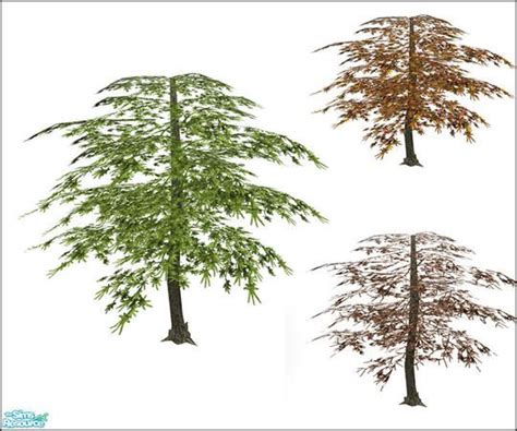 Simman123s Animated Maple Trees Sims Tree Id Sims 4 Collections