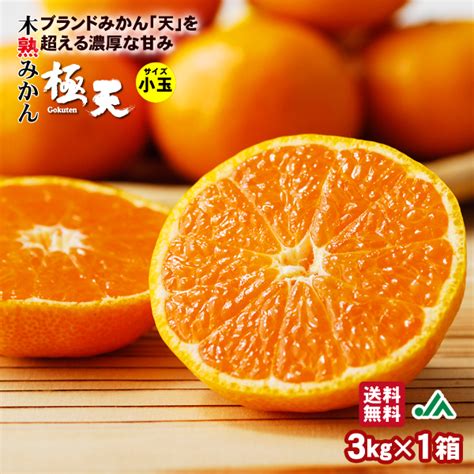 【楽天市場】【送料無料】木熟みかん「極天」（小玉サイズ） 3kg こだわりグループの樹上完熟みかん高糖度 和歌山県 Ja 紀南 ブランド