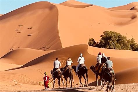 Sahara Camel Trekking And Overnight Camping Adventure 2024 Merzouga