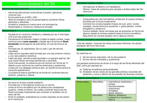 Generalidades Del SN Apunte Sacado Desde El Libro Snell