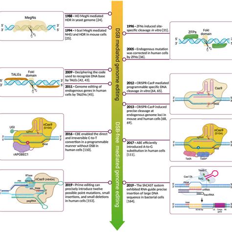 Timeline Of The Genome Editing Methods The Significant Genome Editing