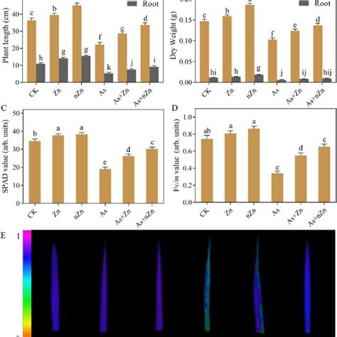 Effects Of Zinc Oxide Nanoparticles NZn On Plant Growth Biomass