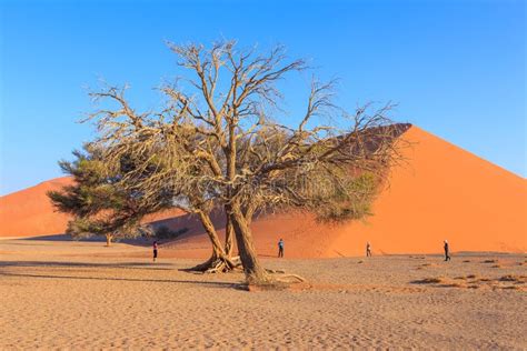 Turistas En La Famosa Duna El Parque Nacional Namibnaukluft De