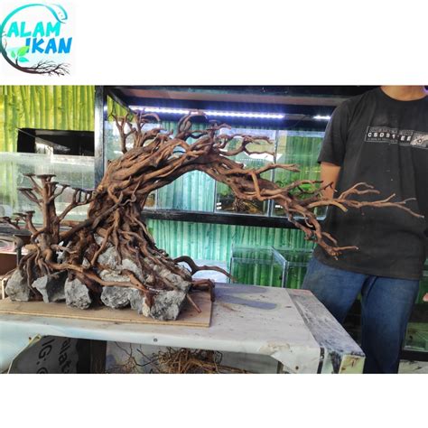 Jual Kayu Rasamala Senggani Bonsai Santigi Aquascape