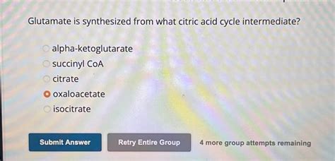 Solved Which Of The Following Are Nonessential Amino Acids Chegg