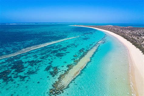 Ultimate Guide To Coral Bay Rac Wa