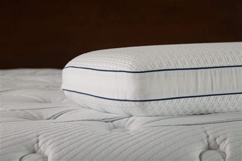 Serta Perfect Sleeper Almohada de espuma viscoelástica con infusión