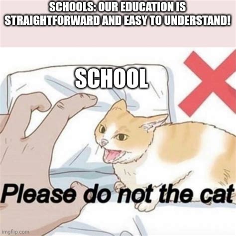 Please Do Not The Cat Imgflip