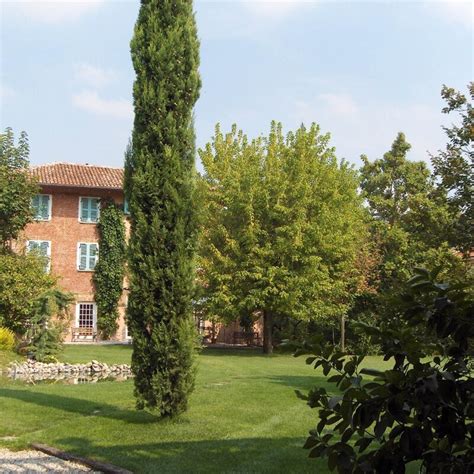 Hebergement Lit et petit déjeuné VILLA BELFORTE Monferrato