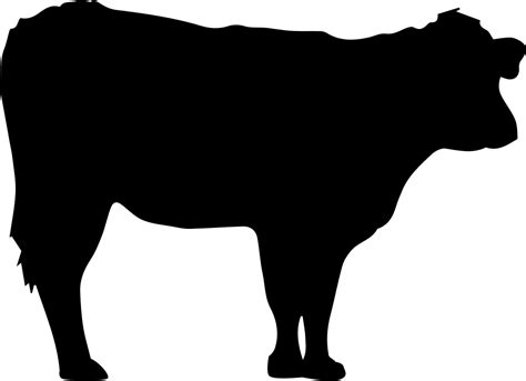 Jersey cattle Angus cattle Black Hereford Hereford cattle - others png download - 981*711 - Free ...