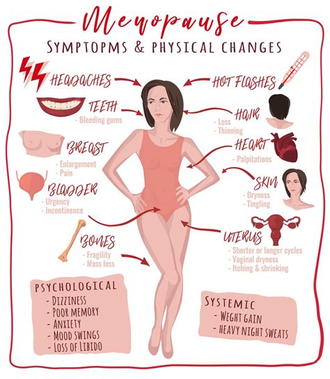 Perimenopause symptoms signs – Artofit