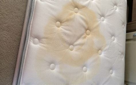 How To Remove Urine Stains From A Mattress