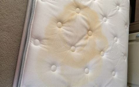 How to Remove Urine Stains From a Mattress?