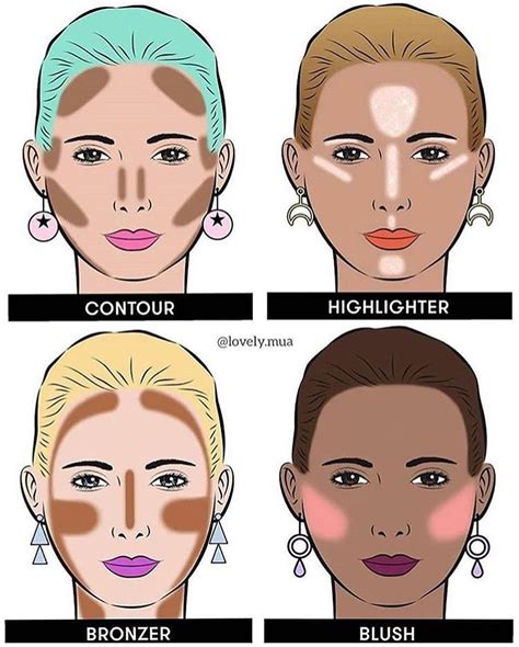 Where To Apply Bronzer Diagram