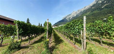 Liechtenstein – The Big Little Country – Safe Destinations